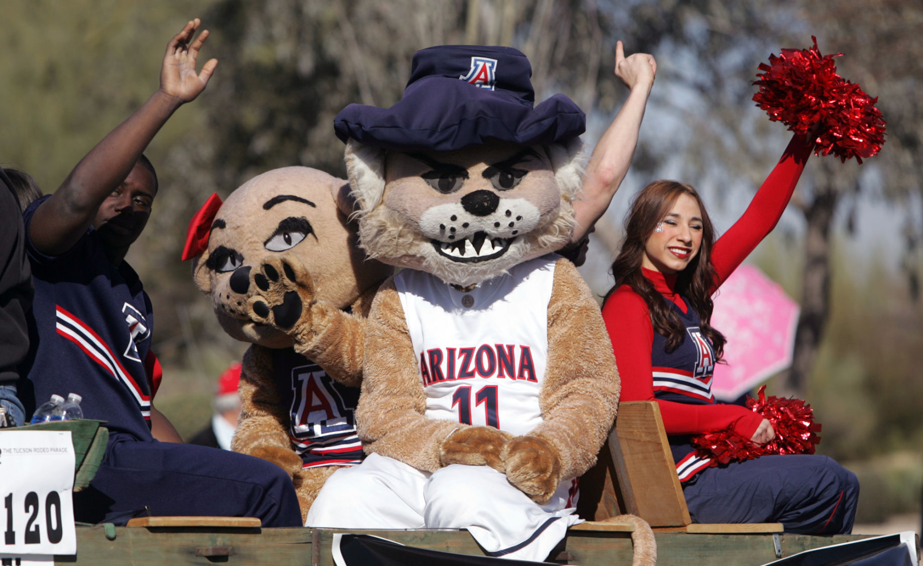 Wilbur and Wilma Wildcat through the years